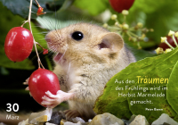 365 mal tierisch gut drauf! Zusatzmaterial