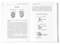 Zusatzmaterial PA 978 3 426 27699 0 innen 03 von Skin Deep: Alles über unser größtes Organ von Dr. med. Yael Adler, Katja Spitzer