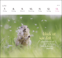 Zusatzmaterial PA 4036442014790 innen 012 von Postkartenkalender 2027: Kleine Glücksbringer für dein Jahr von Julian Rad