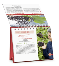 Die Wildpflanzen-Apotheke - Kalender Zusatzmaterial