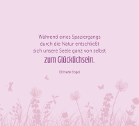 Zusatzmaterial PA 978 3 8485 0407 7 innen 016 von Kleine Glücksbringer für dich: Mit Fotos von Wildlife Photographer Julian Rad von Julian Rad