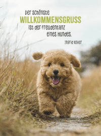 Zusatzmaterial PA 978 3 8485 0234 9 innen 011 von Hunde sind die besten Freunde