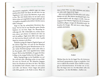Kleine Philosophie der Vögel Zusatzmaterial