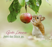 Kleine Glücksbringer für dich Zusatzmaterial