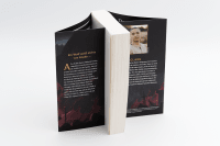Zusatzmaterial PA 978 3 426 56751 7 detail 033 von Ambessa: Chosen of the Wolf: Roman von C. L. Clark