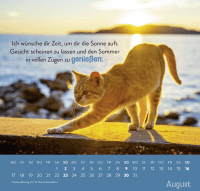 Wandkalender 2026: Einfach mal abhängen Zusatzmaterial