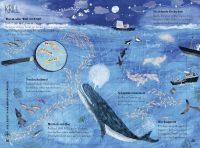 Was lebt im großen tiefen Blau? Zusatzmaterial