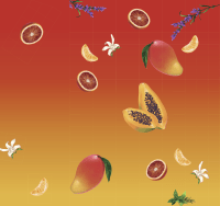 Zusatzmaterial U2 978 3 7571 0099 5 von Soul Food von Elizabeth Acevedo