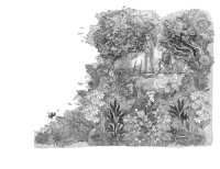 Der Zaubergarten – Geheimnisse sind blau Zusatzmaterial