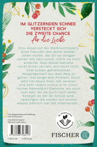 Zusatzmaterial 9783596708413 U4 von Dich hatte ich nicht auf dem Wunschzettel: Roman von Zoe Allison