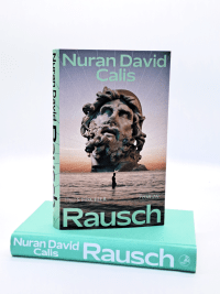 Zusatzmaterial PA 978 3 10 010238 6 innen 001 von Rausch: Roman von Nuran David Calis