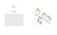 Zusatzmaterial PA 978 3 7373 5526 1 innen 002 von Flügge – Die ersten Tage kleiner Tierkinder von Hannah Dale