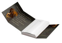 Zusatzmaterial PA 978 3 7335 0986 6 innen 001 von Firelight von Sophie Jordan