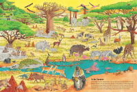 Zusatzmaterial PA 978 3 7373 3474 7 innen 011 von Duden 24+: Igel, Frosch & Elefant: Das große Wimmelbuch der Tiere: Wimmelbuch von Christina Braun, Sebastian Coenen