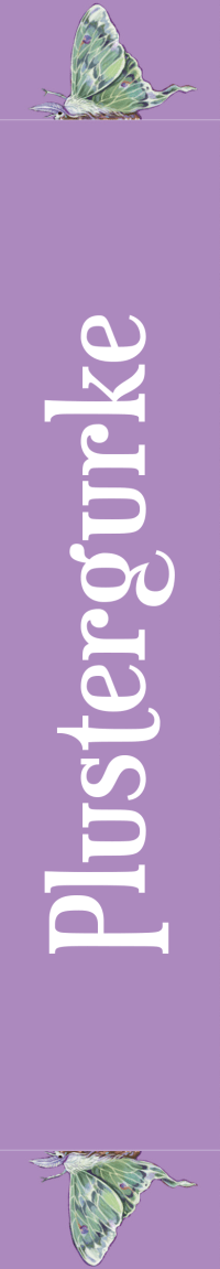 Vergissmeinnicht - Was bisher verloren war Zusatzmaterial