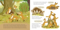 Zusatzmaterial PA 978 3 7373 7317 3 innen 002 von Kennst du mich? Ich bin ein Fuchs!: Ein Sachbilderbuch für neugierige Kinder ab 2 Jahren von Andrea Weller-Essers, Sandra Kissling