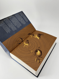 Zusatzmaterial PA 978 3 596 71250 2 innen 002 von Gifted and Talented: Aufstieg und Fall einer magischen Familie von Olivie Blake