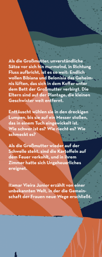 Zusatzmaterial KL 978 3 10 397493 5 vorne von Die Stimme meiner Schwester: Roman von Itamar Vieira Junior