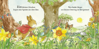 Die Welt von Peter Hase -  Das bunte Osterfest Zusatzmaterial