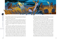 Kidstory Zusatzmaterial