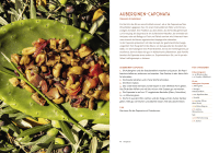 Terra Mediterranea Zusatzmaterial