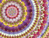 Vergissmeinnicht - Was die Welt zusammenhält Zusatzmaterial