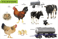 Duden 18+ Kennst du das? Mein großes Bauernhof-Bildwörterbuch Zusatzmaterial