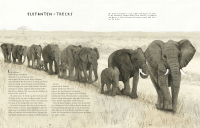 Wanderungen Zusatzmaterial