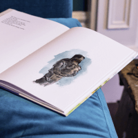 Zusatzmaterial PA 978 3 10 397409 6 innen 009 von Am Abend vor dem Meer: Eine illustrierte Erzählung von Khaled Hosseini, Dan Williams