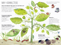 Das große Buch der Krabbeltiere Zusatzmaterial