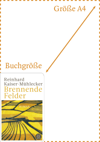 Zusatzmaterial PA 978 3 596 52008 4 abmessung von Brennende Felder: Roman von Reinhard Kaiser-Mühlecker