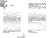 Zusatzmaterial PA 978 3 7373 4264 3 innen 002 von Daresh – In the Valley of Cold Fire (Vol. 2) von Katja Brandis