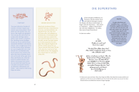 Zusatzmaterial PA 978 3 7571 0221 0 innen 002 von Schlauer, als du denkst: Von cleveren Ameisen, klugen Kojoten und einem Pferd, das Mathe kann von Lotte Stegeman, Mark Janssen