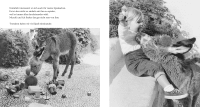 Zusatzmaterial PA 978 3 7373 6477 5 innen 002 von Mein Esel Benjamin (Mini-Ausgabe) von Hans Limmer