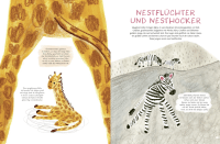 Zusatzmaterial PA 978 3 7373 7277 0 innen 002 von Kleine Säugetiere werden groß von Cathy Evans, Bia Melo
