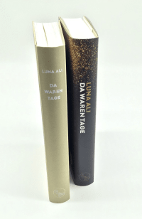Zusatzmaterial PA 978 3 10 397550 5 innen 002 von Da waren Tage: Roman von Luna Ali