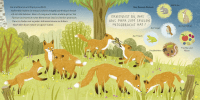 Zusatzmaterial PA 978 3 7373 7317 3 innen 003 von Kennst du mich? Ich bin ein Fuchs!: Ein Sachbilderbuch für neugierige Kinder ab 2 Jahren von Andrea Weller-Essers, Sandra Kissling
