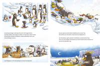 Zusatzmaterial PA 978 3 7373 7670 9 innen 002 von Das kleine Pingodil von Teresa Hochmuth, Dominik Rupp