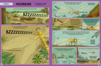 Zusatzmaterial PA 978 3 7373 7492 7 innen 002 von Unser wildes Dino-Leben: Tiere aus der Urzeit erzählen von Mike Barfield, Jess Bradley