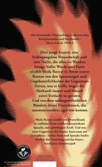 Zusatzmaterial 9783462052763 U4 von Drei Kameradinnen: Roman von Shida Bazyar