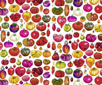 Zusatzmaterial VS 978 3 86971 257 4 von Tomatoes von Kat Menschik