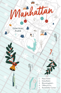 Zusatzmaterial U2 978 3 499 01930 2 von Das kleine Wunder im Central Park von Julie Caplin