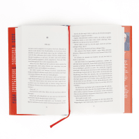Zusatzmaterial PA 978 3 8052 0131 5 innen 034 von Schlafende Vulkane: Island-Thriller von Michael Hjorth, Bjarni Thorsson