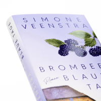Zusatzmaterial PA 978 3 8052 0129 2 innen 033 von BLACKBERRY BLUE DAYS von Simone Veenstra