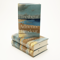 Zusatzmaterial PA 978 3 463 00056 5 innen 032 von Das Sommerfest von Adrienne Brodeur