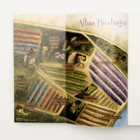 Hyazinthenschwestern Zusatzmaterial