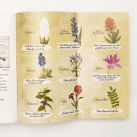 Hyazinthenschwestern Zusatzmaterial