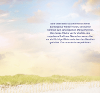 Zusatzmaterial U2 978 3 499 00963 1 von Inselhochzeit im kleinen Friesencafé von Janne Mommsen