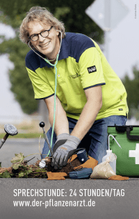 THE PLANT DOCTOR  Happy and Healthy Houseplants - Ren Wadas | Rowohlt  Verlag