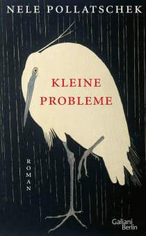 Buchcover Kleine Probleme